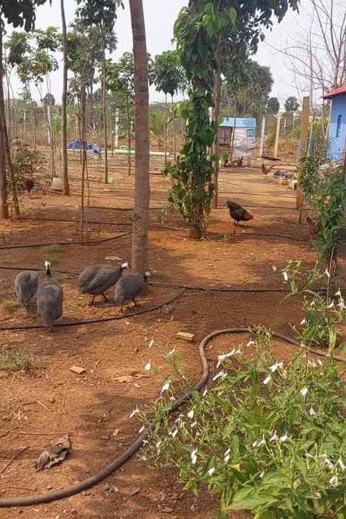 WhatsApp Image 2026-03-27 at 9.04.56 AM